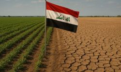 الجهاز المركزي للإحصاء يعلن عن تسارع معدلات التصحر في العراق خلال 2024